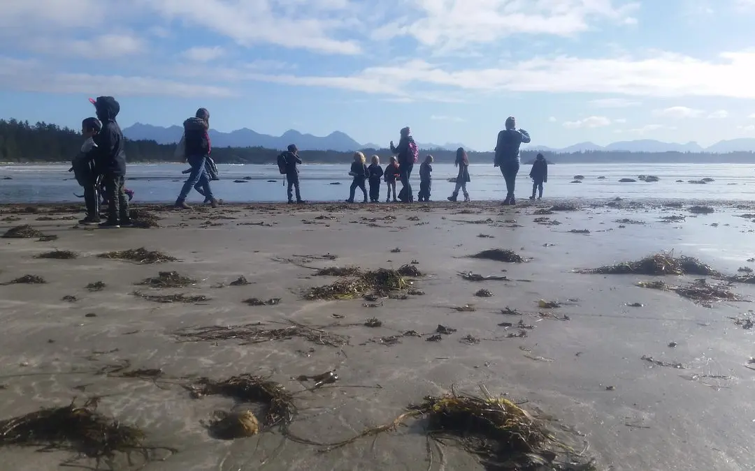 Tofino Field School Fall 2018