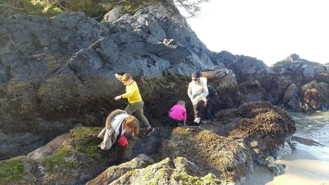 Tofino Field School Spring 2019