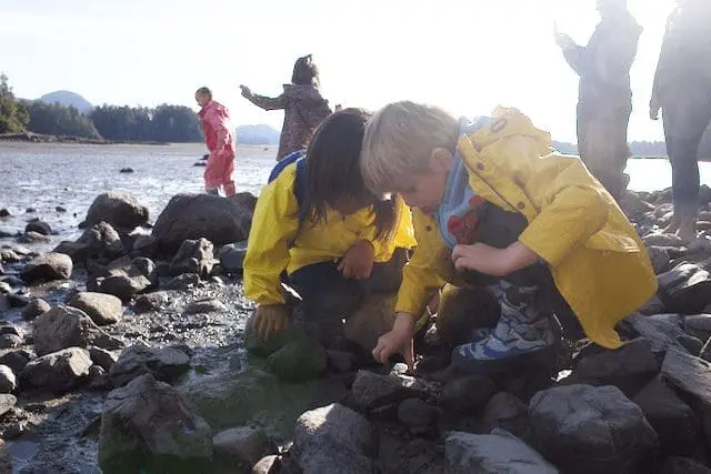 Tofino Field School Fall 2019